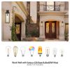 Set of 2 Modern Outdoor Wall Lanterns with Black Metal Frame and Clear Glass, Weatherproof Wall Sconces for Porch, Garage, or Entryway Lighting